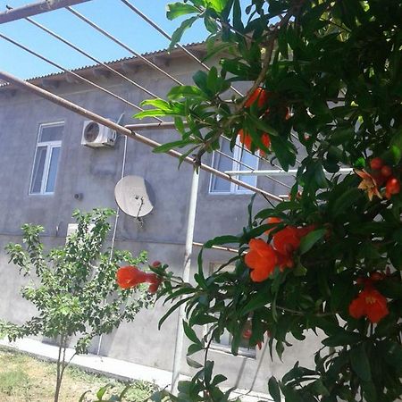 Apartment Near Baku Airport Экстерьер фото